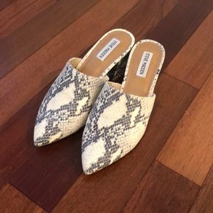 Steve Madden Snakeskin Mule
